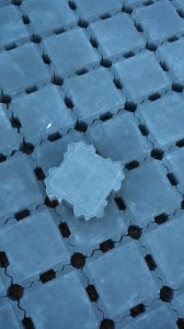 1450272_761980343819497_161023132_n[1]