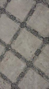 1463711_10151717266991759_641956199_n